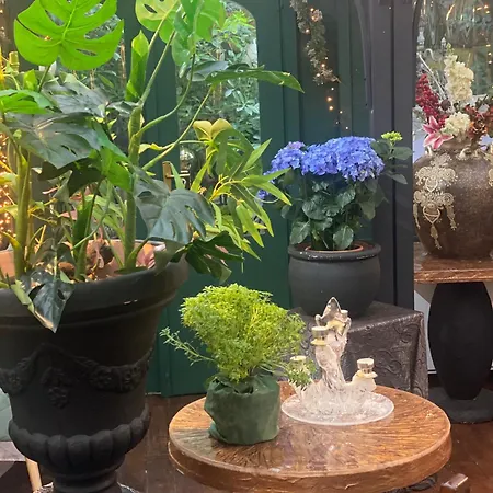 Bella Vista Apartment